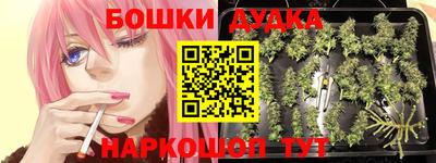 крисы Волжский
