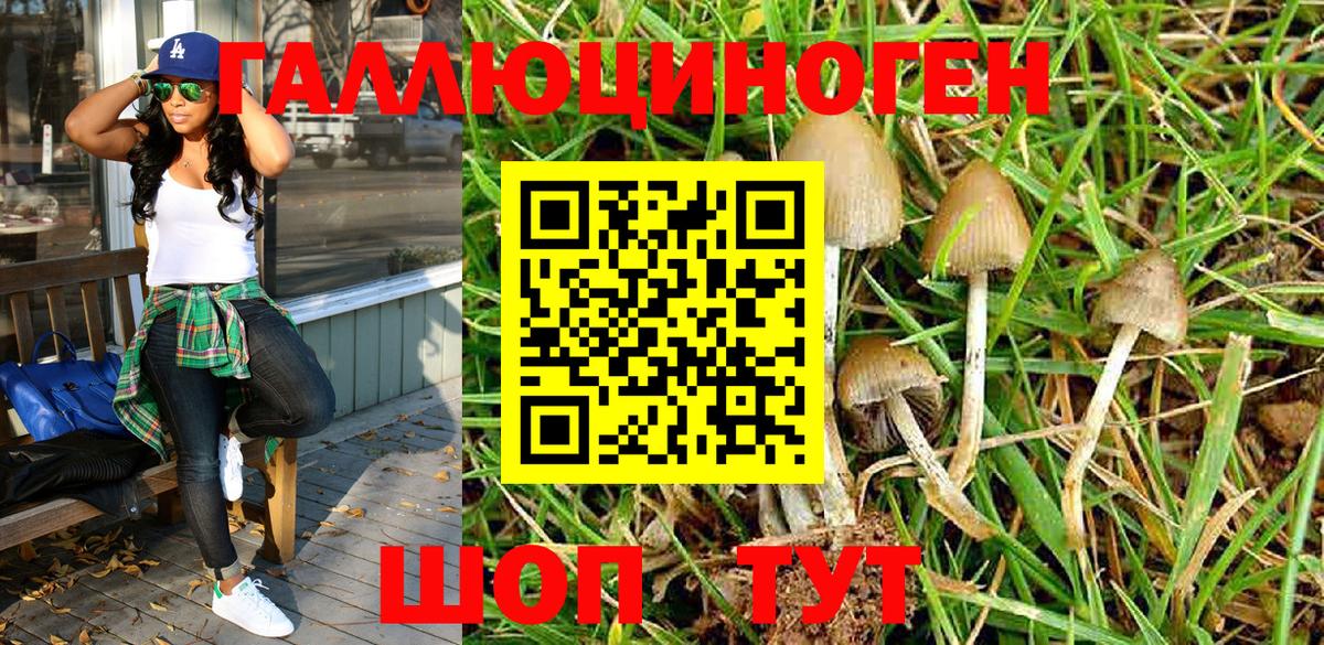 Псилоцибиновые грибы Magic Shrooms Геленджик